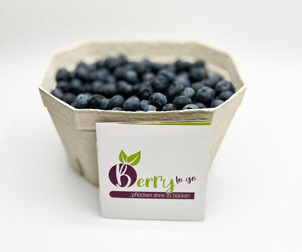 Heidelbeeren